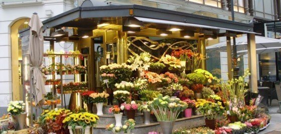 Çiçekçi Dükkanı Açmak