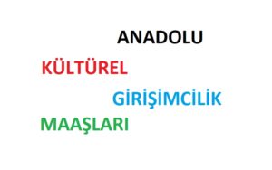 Anadolu Kültürel Girişimcilik Maaşları